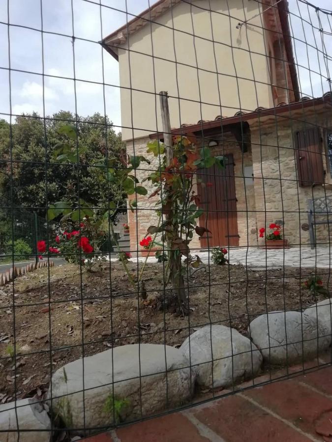 La Casetta Della Letizia Colle  Eksteriør billede